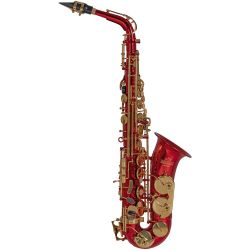 Roy Benson Eb-Alt Saxophon AS-202R
