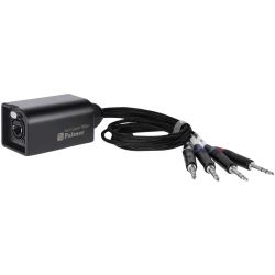 Palmer AoC Loom TRSm Audio over Cat Adapterkabel etherCON auf 4 xTRS Klinke