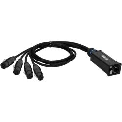 Adam Hall 4 STAR CATBOX XF3 Audio & DMX Multicore 4 XLR 3-Pol Female x Cat.6a