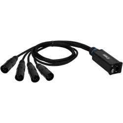 Adam Hall 4 STAR CATBOX XM5 Audio & DMX Multicore 4 XLR 5-Pol Male x Cat.6a