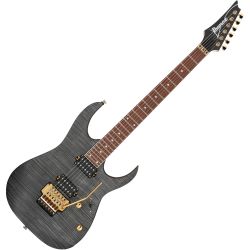 Ibanez RGR420FMSPTGF Transparent Gray Flat E-Gitarre