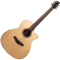 Western Guitars with Pickup