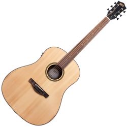 Henry's Daily HJD2-E Every Natural Westerngitarre