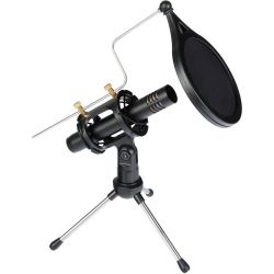 Eikon CM150V2 unidirektionales Kondensatormikrofon mit Nierencharakteristik