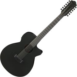 Ibanez AEG1221-BOT Black Out 12-String Westerngitarre