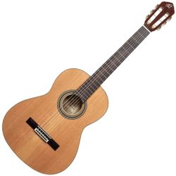 Ortega R20GSNRG 4/4 Konzertgitarre inkl. Gigbag