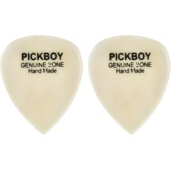 Pick Boy Plektrum Bone (2er Pack)