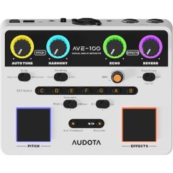 Audota AVE-100 Vocal Multi Effekt Prozessor für Gesang & Bühne