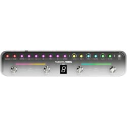 Audota ACE-100 Intelligent Multi Effektpedal für Gitarre & Bass