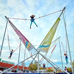 Vermietung - Bungee Trampolin 4 Tramp - Stk./Tag