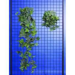 Efeubusch natur 12fach,112Bl. 50cm