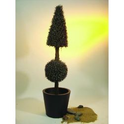 Rosmarin-Hochstamm (Kegel+Kugel) 150cm