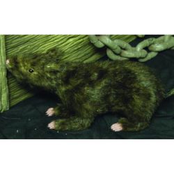 Ratte lebensecht mit Fell