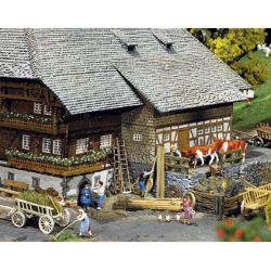 130366 Schwarzwald-Hof