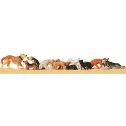 14165 Hunde und Katzen