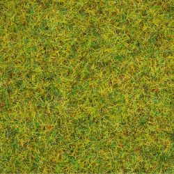 08310 Streugras Sommerwiese, 20 g