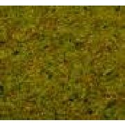50190 Sommerwiesen-Gras, 100 g-Beutel