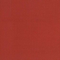 52212 Mauerziegelplatten rot je 10 x 20 cm (2 Stück)