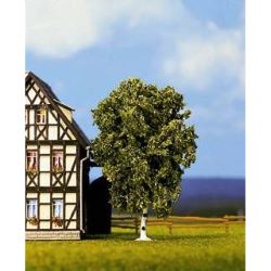 21640 Birke, 11,5 cm hoch