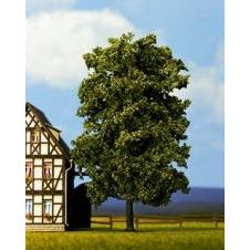 21780 Linde, 18,5 cm hoch