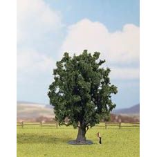 25860 Eiche, 16 cm