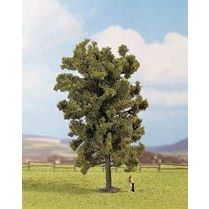 25880 Linde, 19 cm
