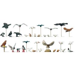10169 Tauben, Möwen, Krähen und Raubvögel