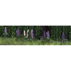 1217 Wild-Lupinenstauden