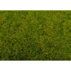 50210 Frühlingswiesen-Gras, 100 g-Beutel, verschließbar