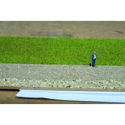 07072 Grasmischung Sommerwiese, 50 g