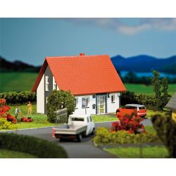 130316 Einfamilienhaus, grau