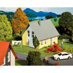 130317 Einfamilienhaus, gelb