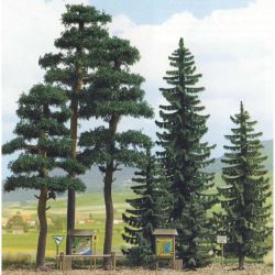 6393 Fichten & Kiefernwald