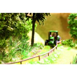 14100 Laser minis Farn 6 Pflanzen