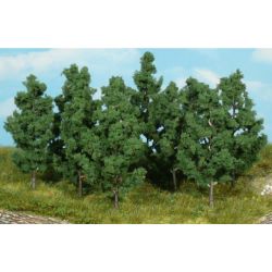 1220 Schwarzpappeln 9 cm hoch (10 Stück)