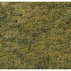 1578 Wildgras/Bergwiese, 28 x 14 cm