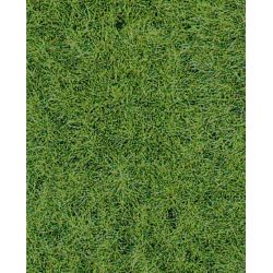 1871 Wildgrasmatte Waldboden