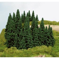 2190 Steckfichten, 5-14 cm hoch (100 Stück)