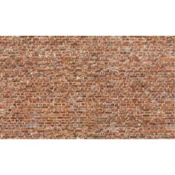 14002 Ziegelsteinmauer, 3mal je 31 x 21 cm