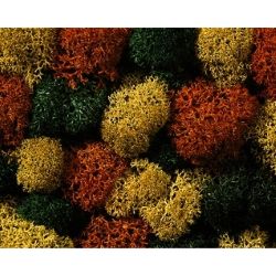 08620 Dekormoos herbstlich, 75 g