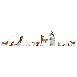 45715 Hunde und Katzen
