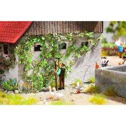 14132 Laser-Cut minis "Wilder Wein", 12 Pflanzen
