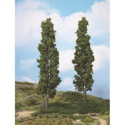 1983 Pappeln, 27 cm hoch (2 Stück)