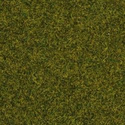 08212 Streugras Wiese, 20 g