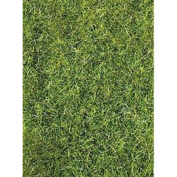3377 Grasfaser XL Sommer, 50 g