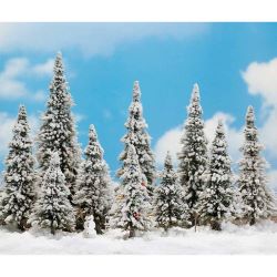 6465 Wintermärchen