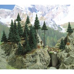 6478 Wald-Set