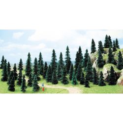 6597 Stecktannen, 30 bis 50 mm hoch (50 Stück)