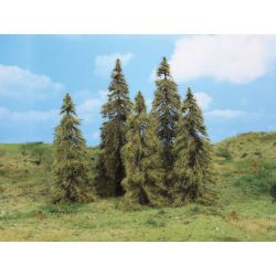 2176 Lärchen 14-18 cm (5 Stück)