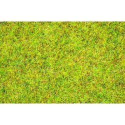 08151 Streugras Sommerwiese, 120 g